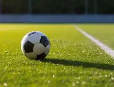 瑞典,欧预赛次轮,横扫阿塞拜,爱游戏app,爱游戏官网,爱游戏体育官网,爱游戏体育app